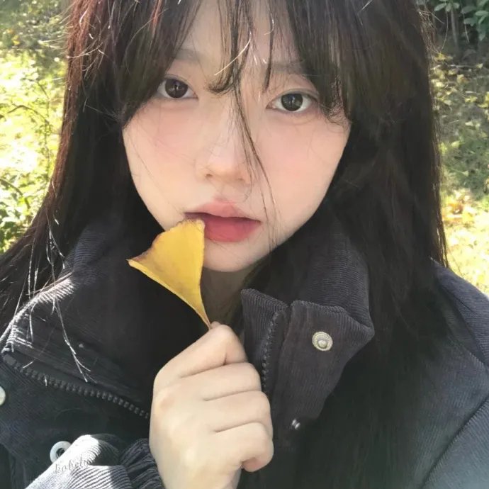 爱凡隆高校